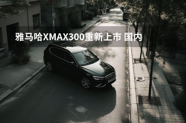 雅马哈XMAX300重新上市 国内只有眼馋的份